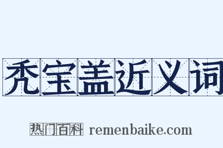 秃宝盖近义词是什么意思的图片